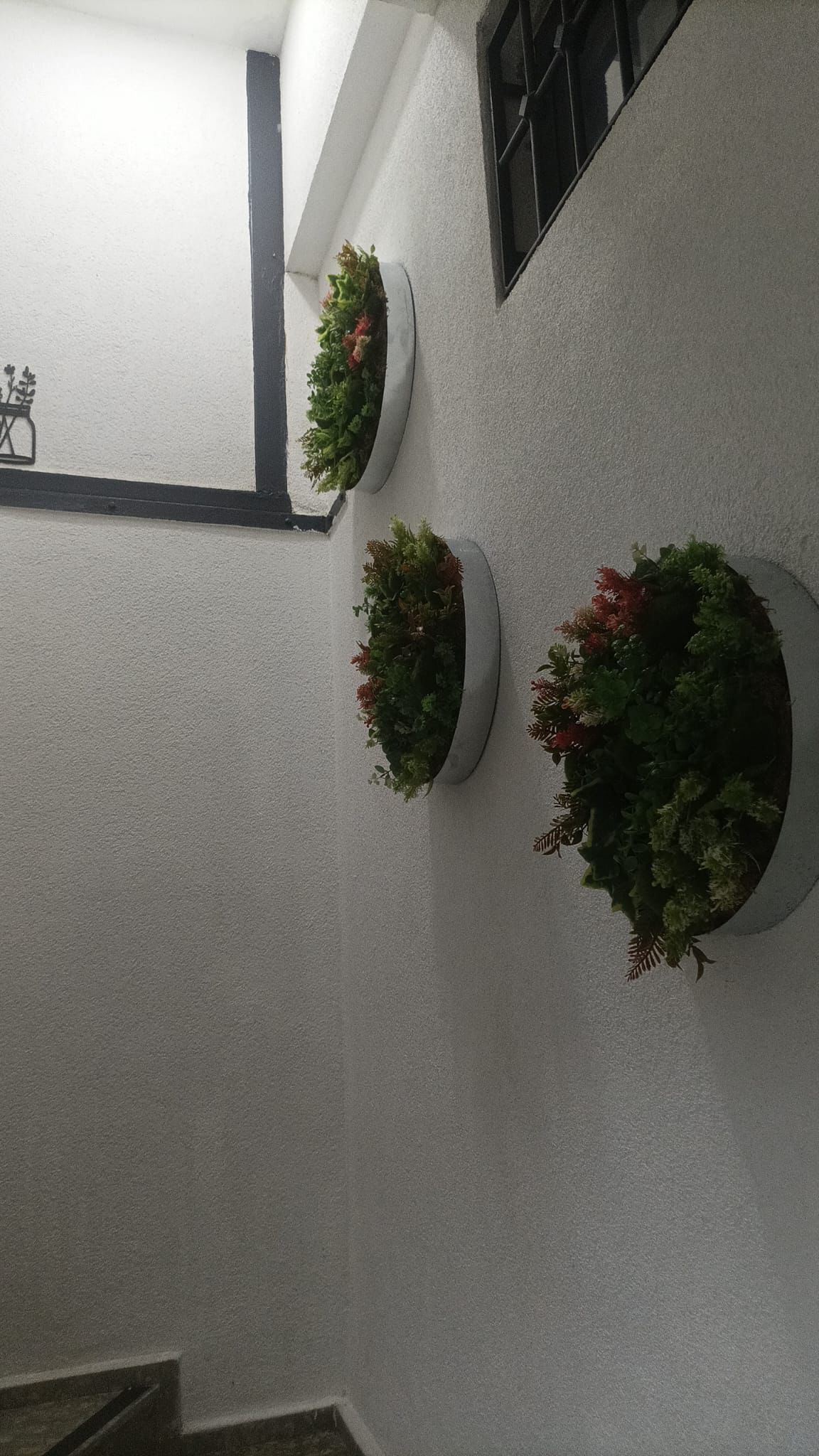 Foto - Tiana Butik Otel