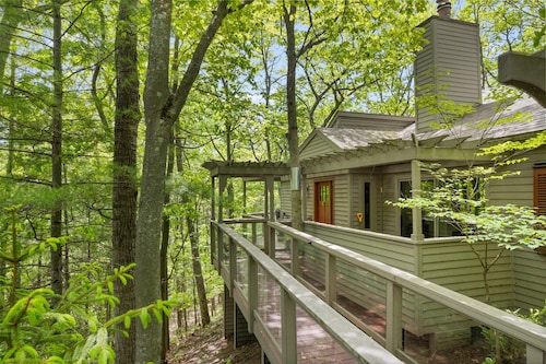 Tree House in The Homestead
