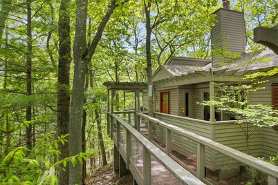 Tree House in The Homestead