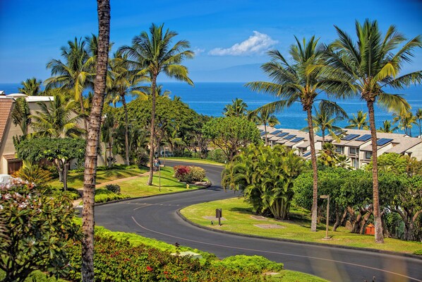 A residential area with a curved road, palm trees, and a view of the ocean. - Maui Kamaole #A-104 Front Row, Ocean View, Across Kamaole Bch III, Full A/C (Kihei)