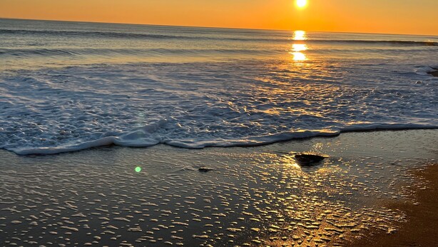 Una spiaggia con onde, un tramonto e cielo sereno.
