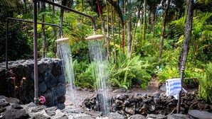 Un élément aquatique d’inspiration naturelle, composé de plusieurs ruisseaux, intégré dans un jardin luxuriant aux allures tropicales.