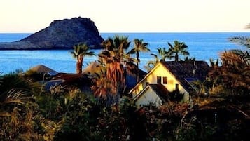 A coastal scene with a house, palm trees, and a rocky outcrop by the sea.