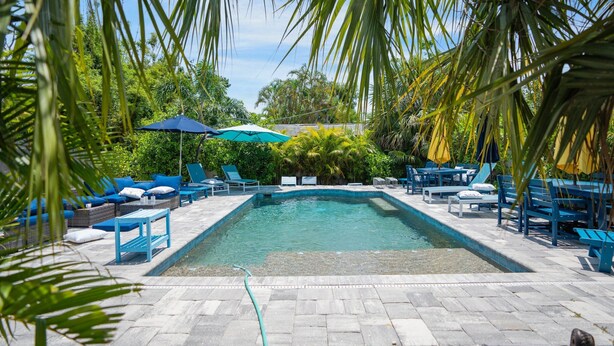 A swimming pool with lounge chairs and umbrellas, surrounded by palm trees and greenery. - SeaGlass: New Renovation Sleep 12 Hot tub, Pool (Sarasota)
