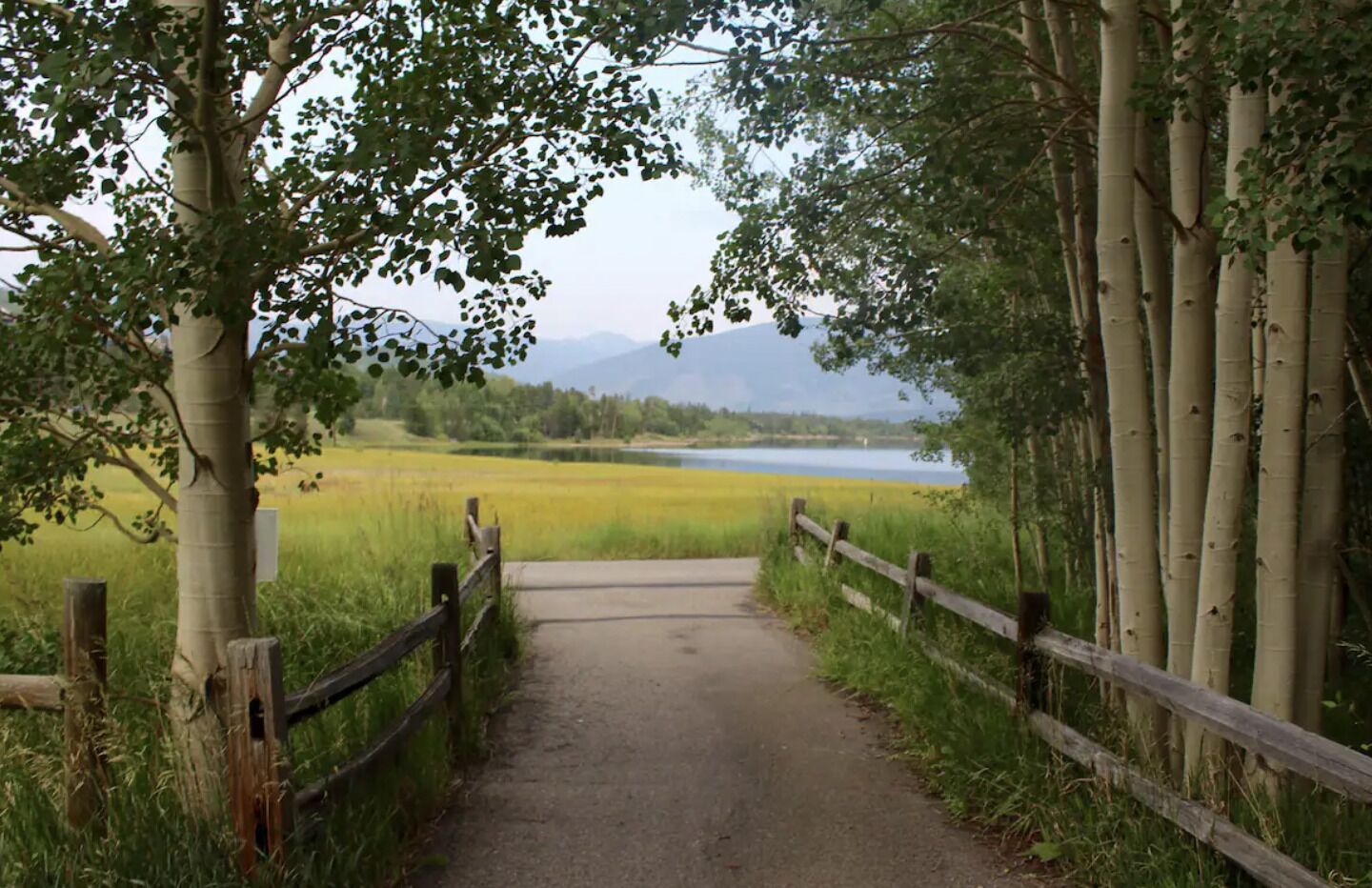 A paved pathway leading to a body of water, surrounded by trees and grass.