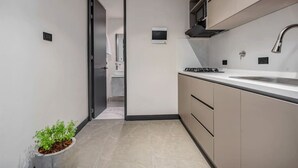 Cozinha moderna com fogão a gás, pia e armários. Há uma planta em vaso no chão e uma porta que dá para outro cômodo.