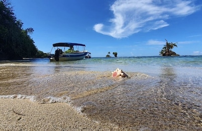 Natural Vacational Spot for Groups, Beach just 200 mts away, Paradise Island 