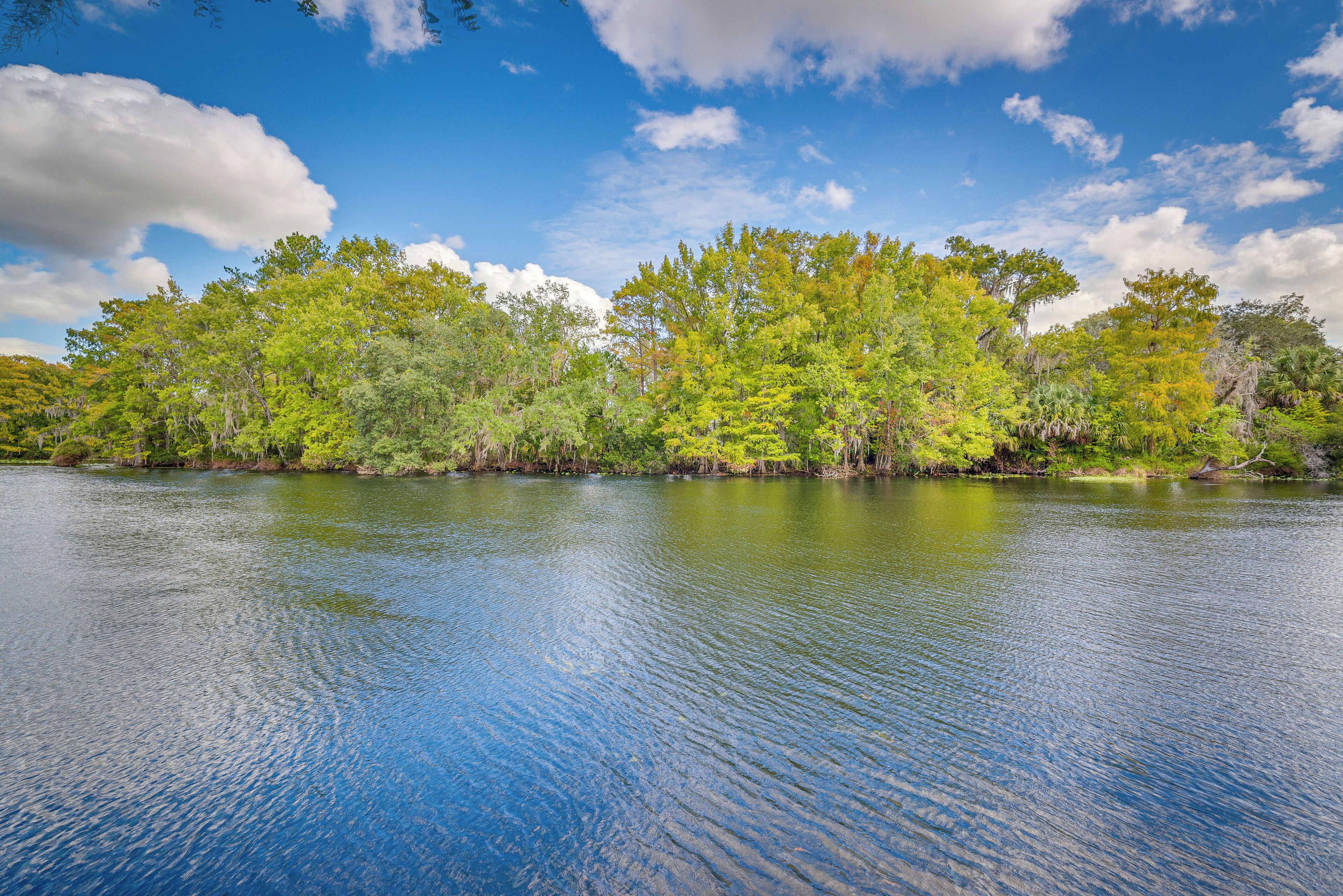 A calm river with dense greenery on the banks.