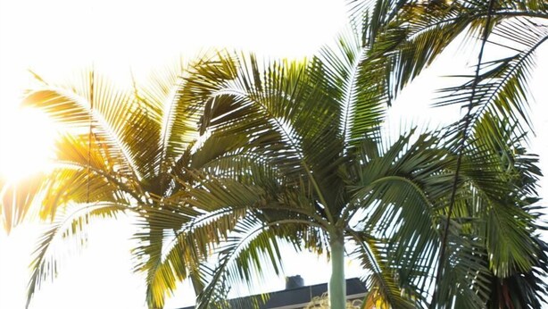 Exterior - Celestine Home (Douala)