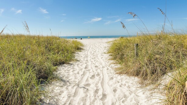 Un sentier sablonneux qui mène à une plage, avec de hautes herbes de chaque côté.