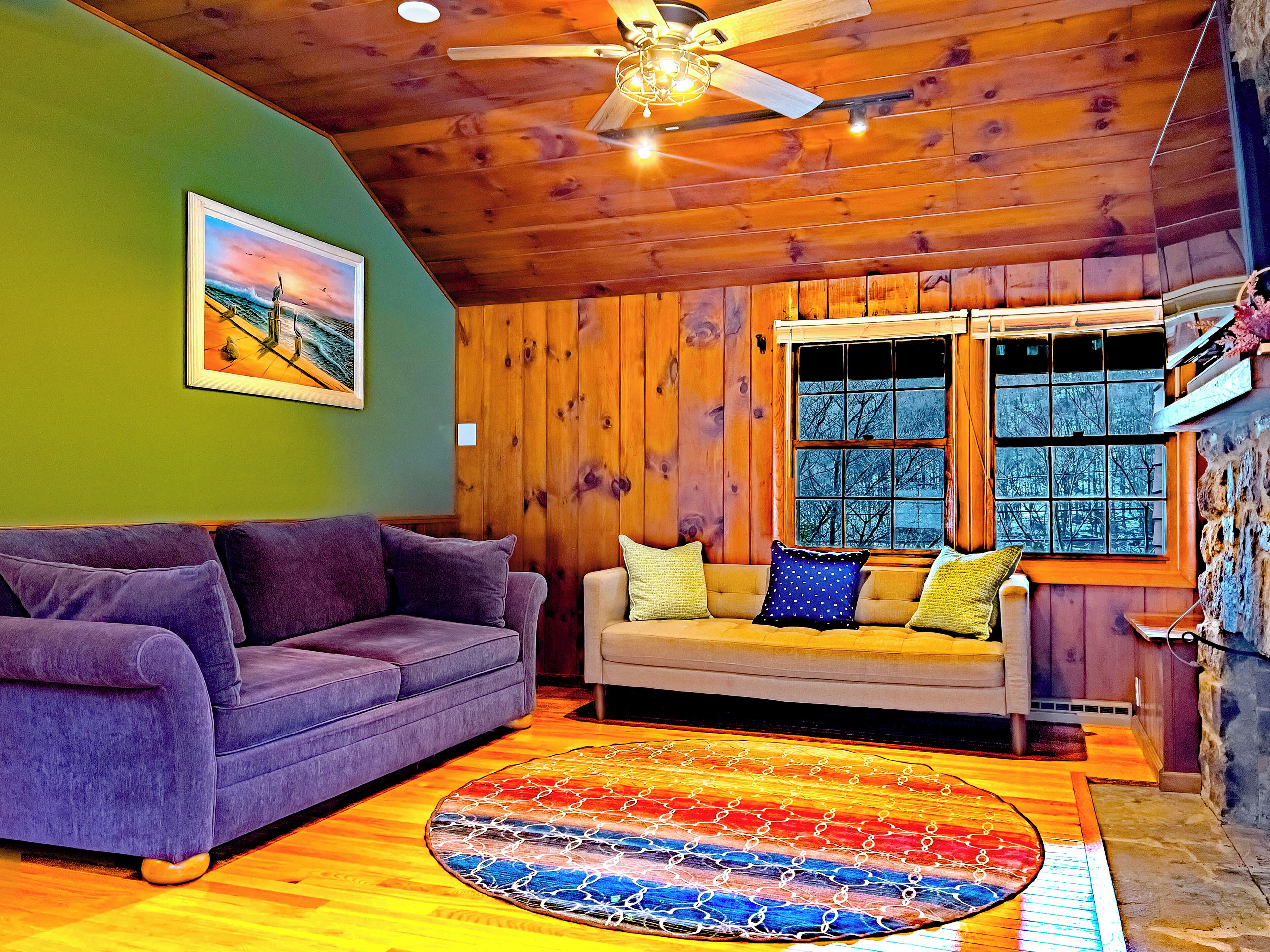 Smart TV, fireplace, books