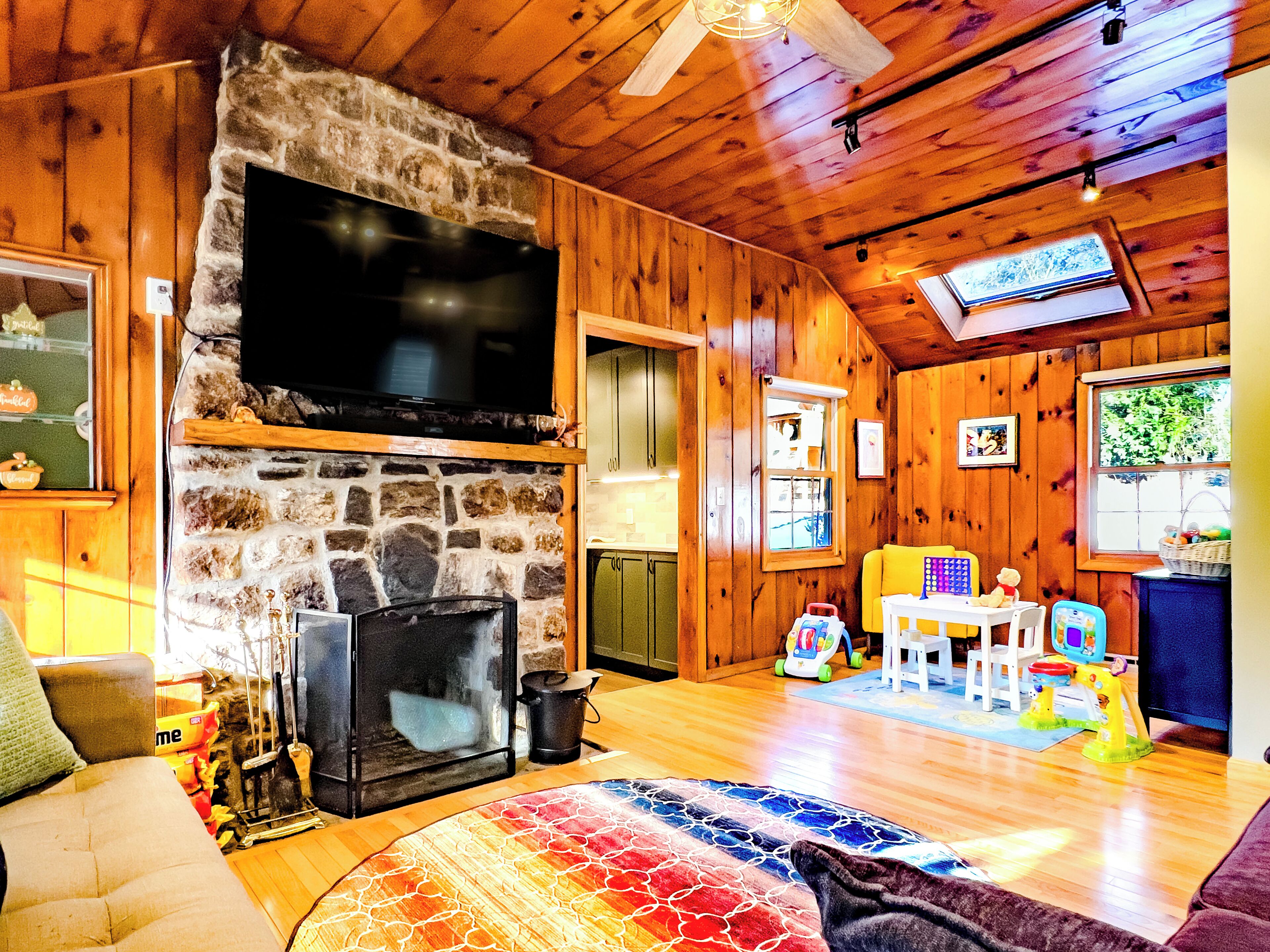 Smart TV, fireplace, books