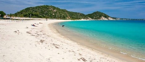 Playa en los alrededores y camastros