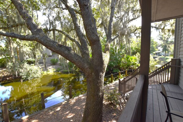 Terrain de l’hébergement 