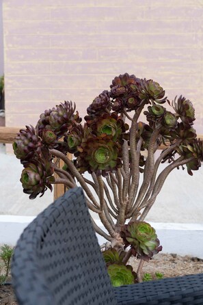 Detall de l'exterior