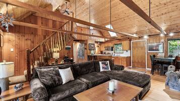 Televisio, takka, DVD-soitin, videokirjasto