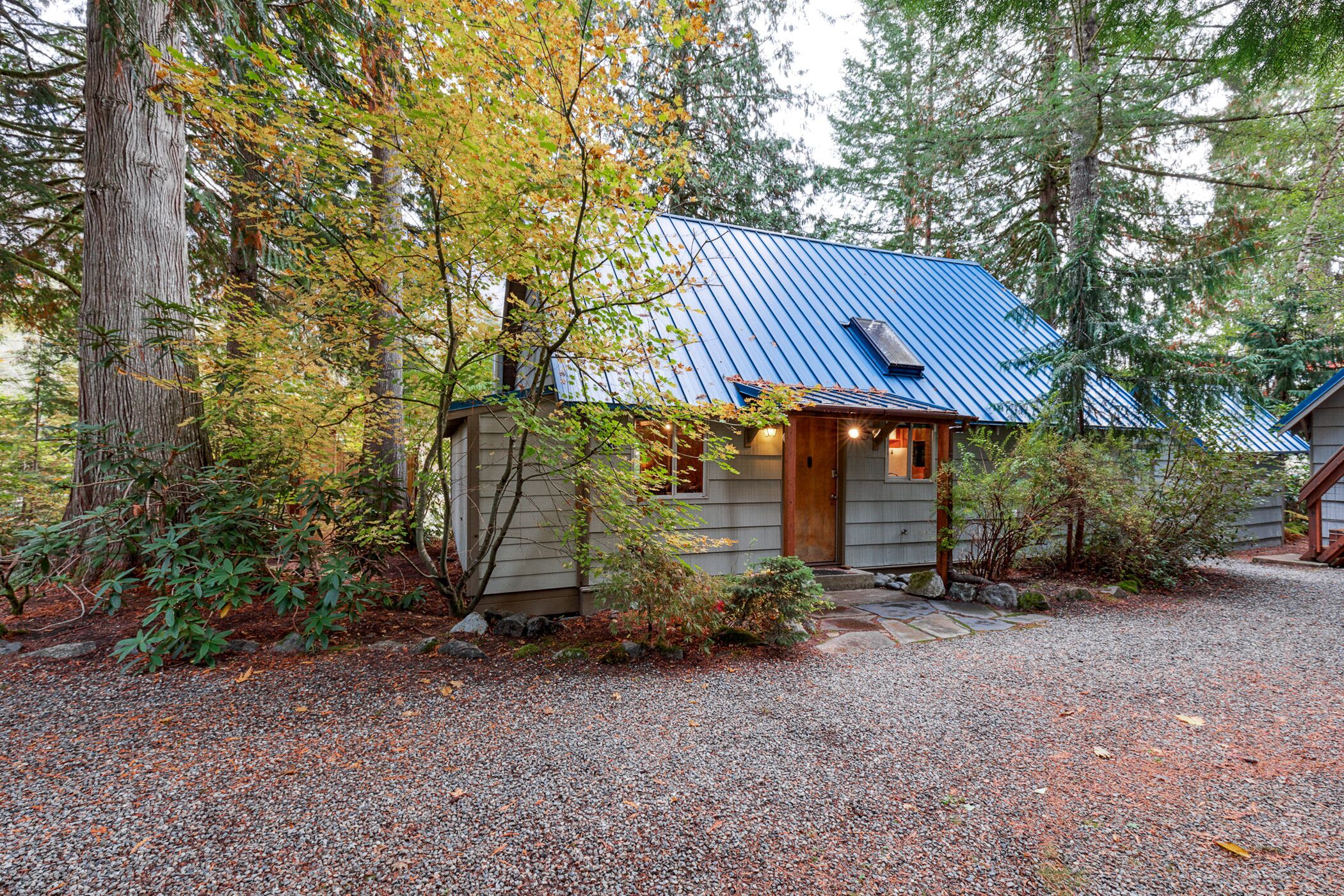A cabin with a metal roof, surrounded by trees and a gravel driveway.