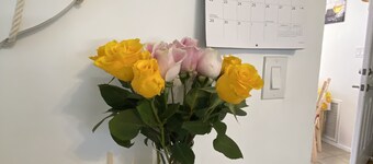 Cozy Ocean Breeze Guest House Ideal Location