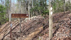 A trail sign for the Benton Mackaye Trail in a wooded area. - Hot Tub · Arcade Loft · Fire Pit · Wooded Cabin (Cherry Log)