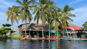 A waterfront property with multiple palm trees, a thatched-roof building, and a small dock with a boat. - Barra Zacapulco - Palapa Abrabam (Acapetahua)
