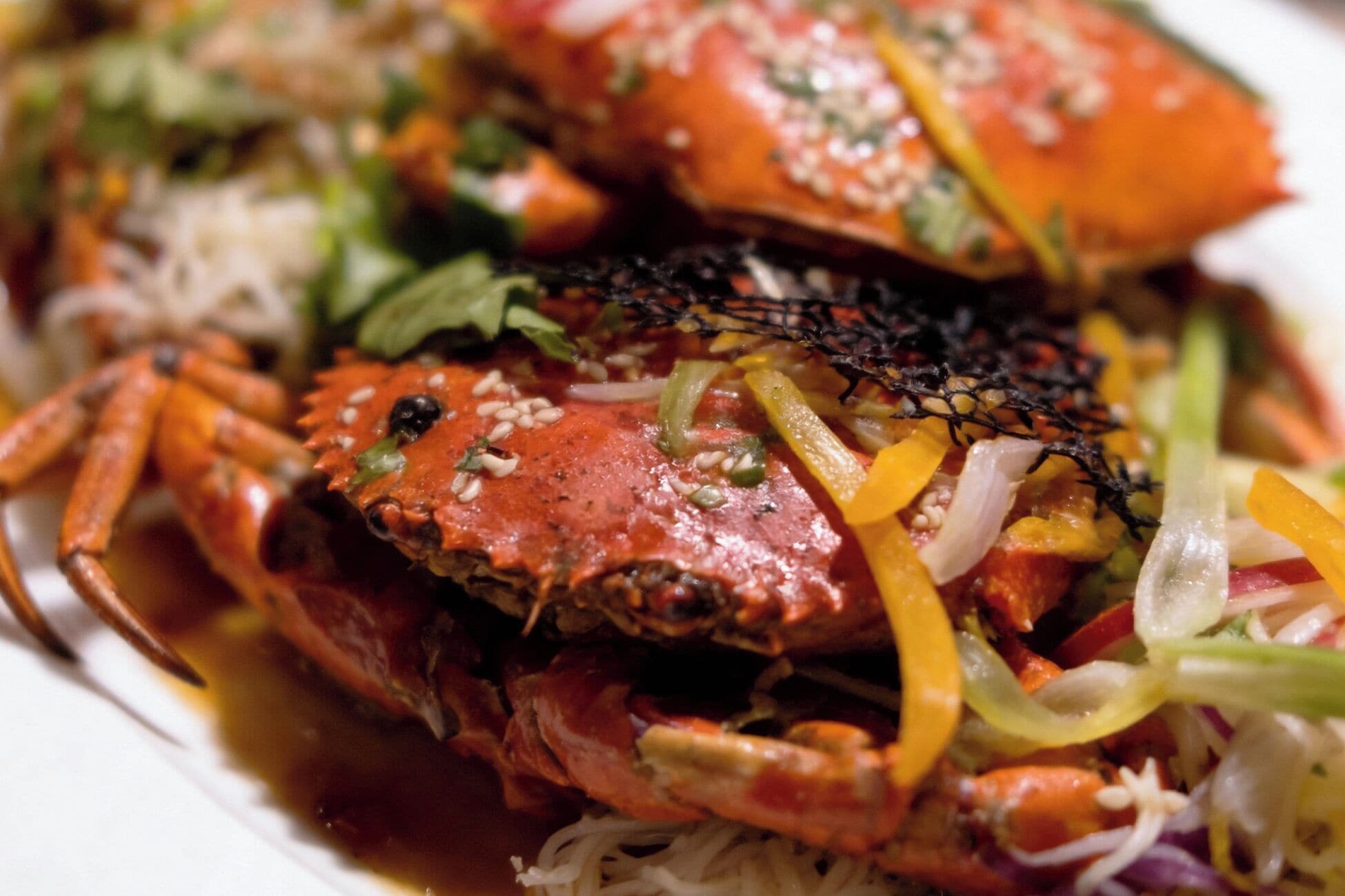 Photo - Corundum Breeze Negombo