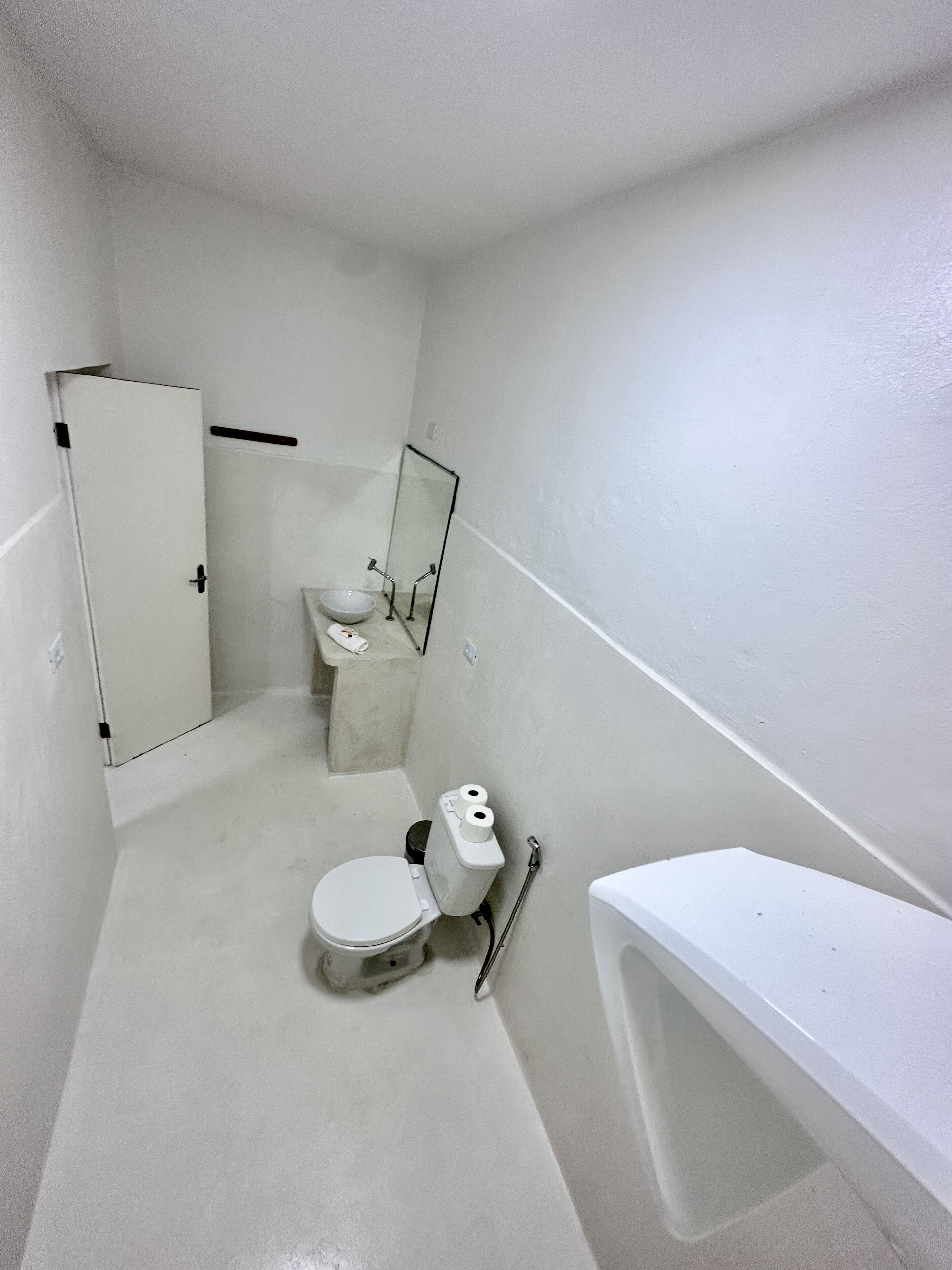 Een kleine, witte badkamer met toilet, wastafel en spiegel.