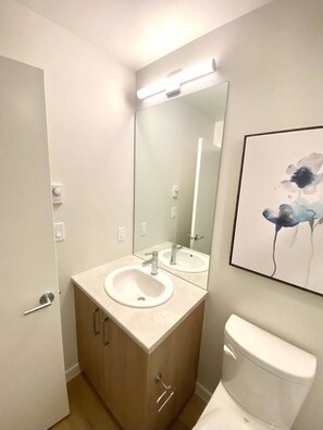Hair dryer, towels, shampoo, toilet paper