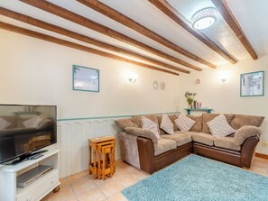 Fireplace - Honeysuckle Cottage- UK45594 (Penparc, near Cardigan)