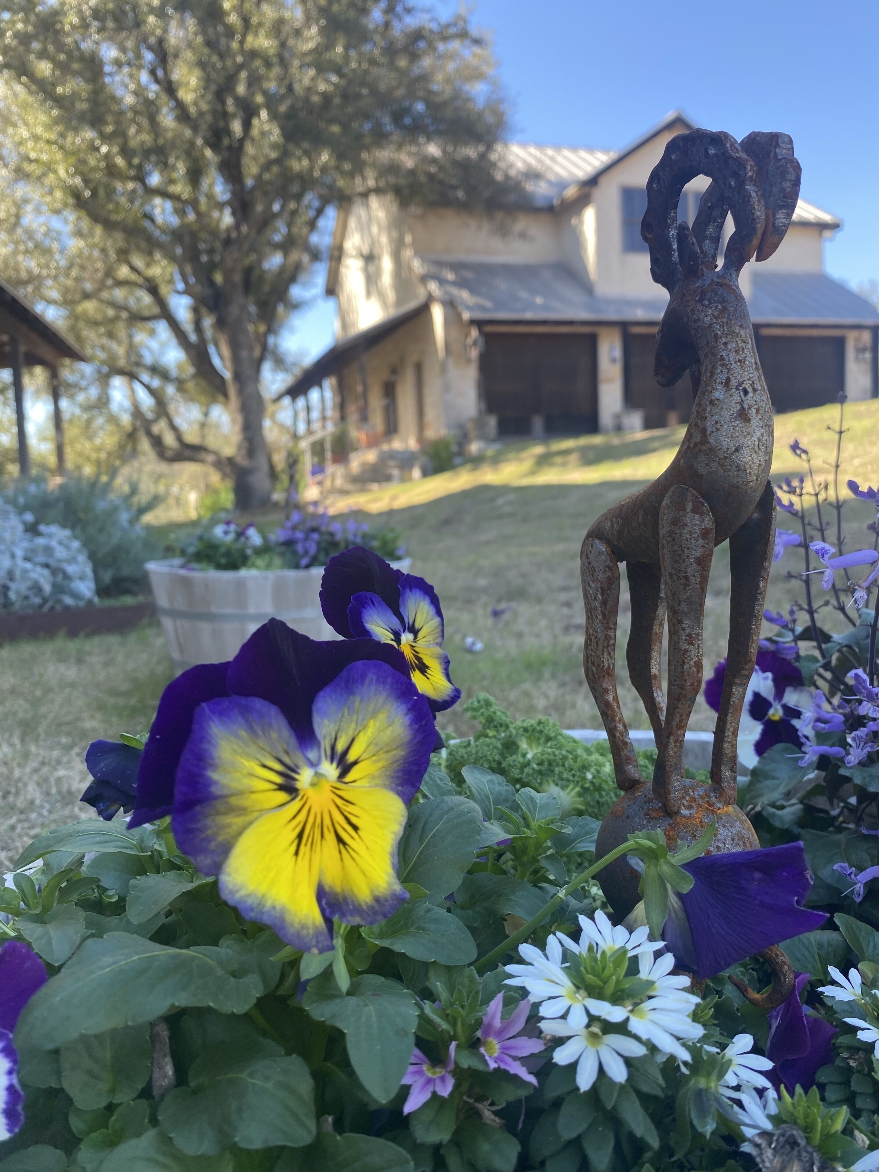 V700 Ranch: Guesthouse. Within the path of eclipse totality and no crowds!