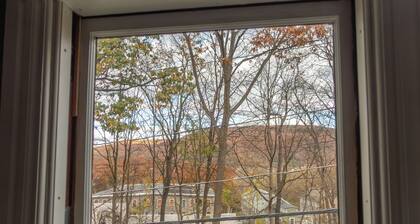 Sauna and Mountain Views, the Perfect Cozy Vermont Getaway