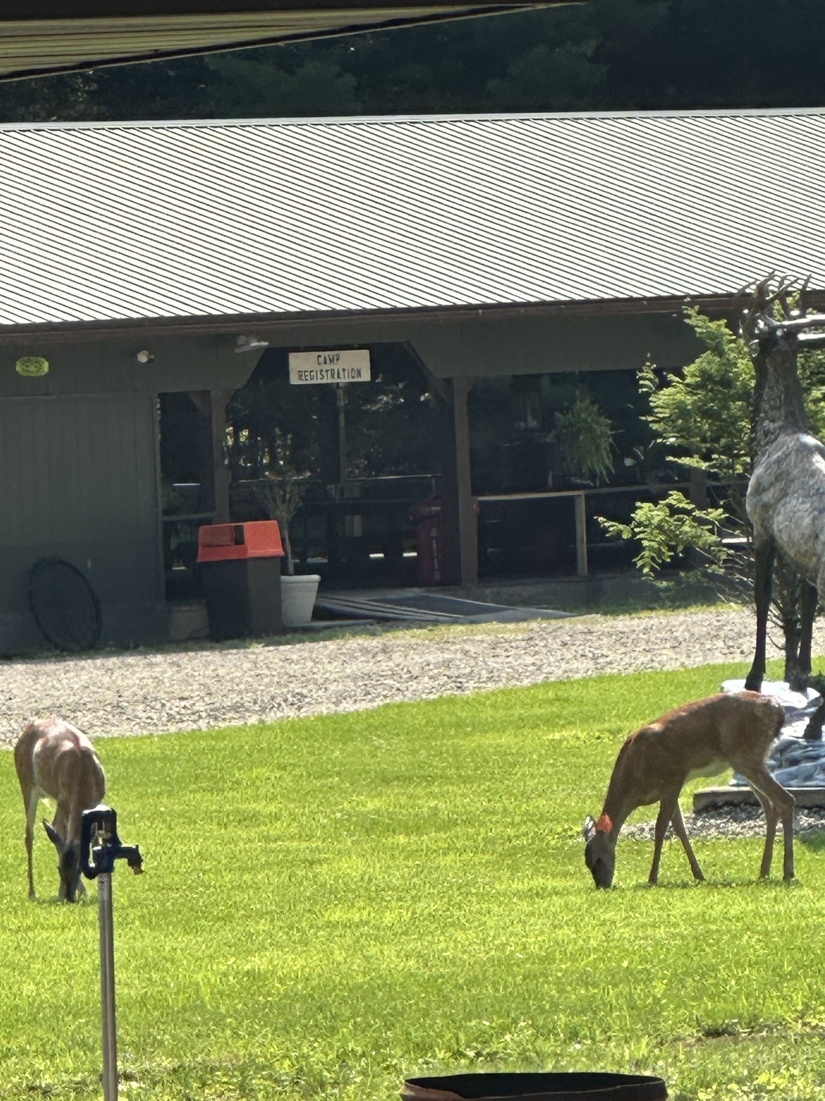 Ein Rasenbereich mit einem Gebäude, auf dem „CAMP REGISTRIERUNG“ steht, und einer Giraffenstatue.