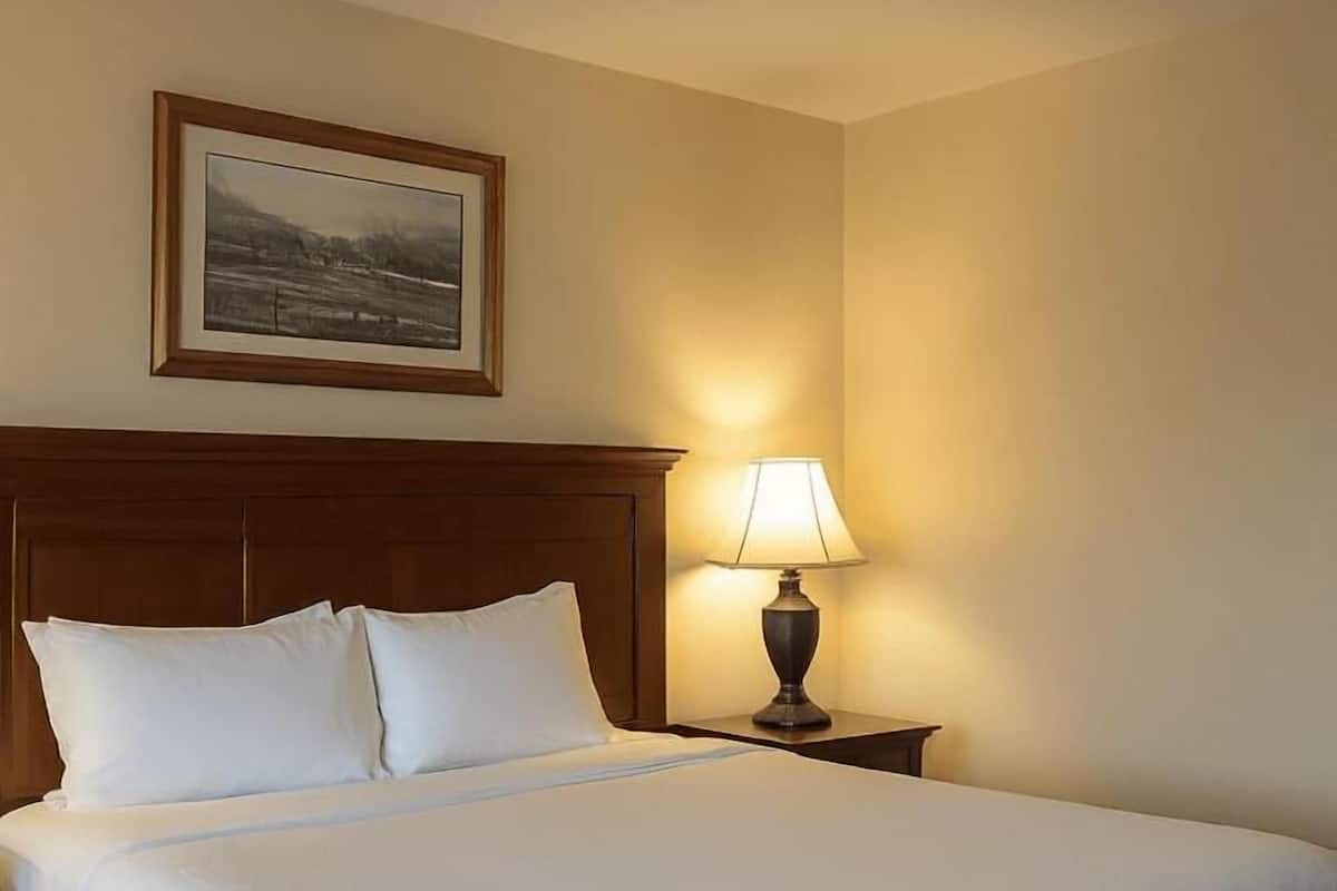 Chambre Premium, 1 grand lit