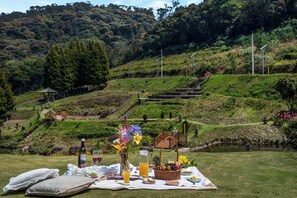 Un montaje para picnic en una colina cubierta de hierba, con una vista panorámica de un bosque y un estanque.