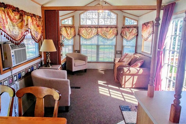 Smart TV, chimenea, reproductor de DVD y libros 