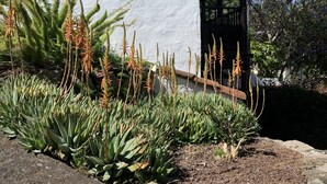 Un bâtiment blanc avec un jardin devant.