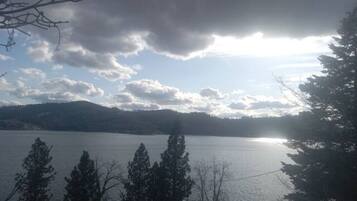 1 habitación, escritorio, wifi gratis y ropa de cama