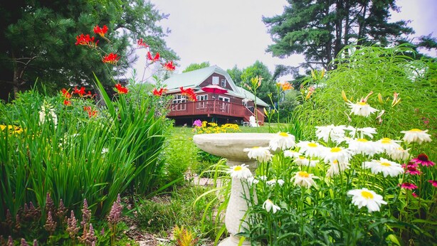 A rustic house surrounded by a lush garden with various flowers and greenery. - Entire Home located in historical district (Bayfield)
