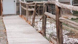 Un sentier en bois mène à un petit bâtiment doté d’une porte et d’une fenêtre, lequel est entouré d’une clôture en bois et d’un sol recouvert de feuilles.