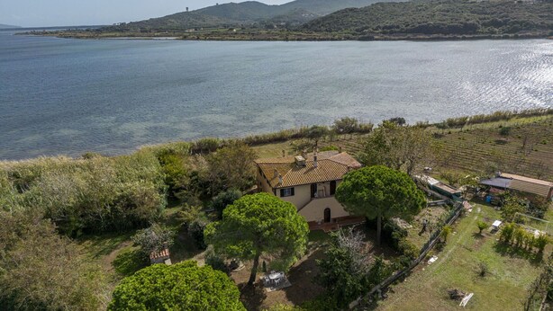 Una villa con terraza con vistas a un lago, rodeada de abundante vegetación y viñedos.