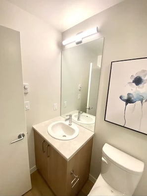 Secadora de cabello, toallas, shampoo, papel de baño