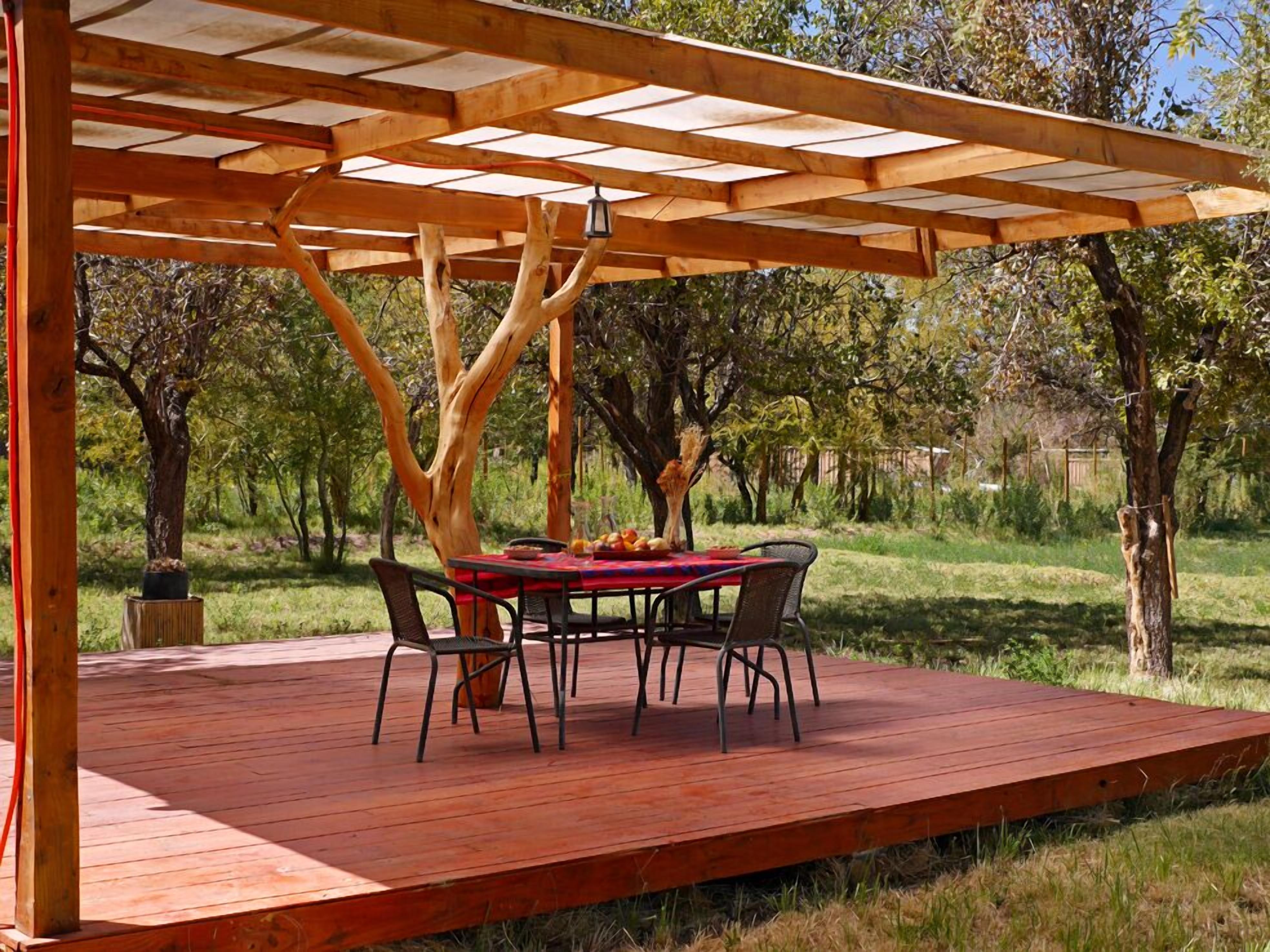 テラス / パティオ