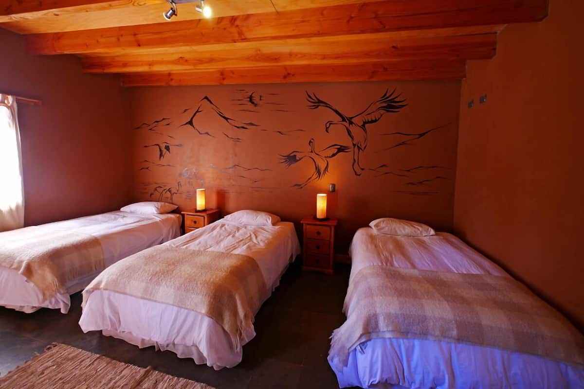 Una habitación con tres camas, vigas de madera en el techo y murales de aves en las paredes.