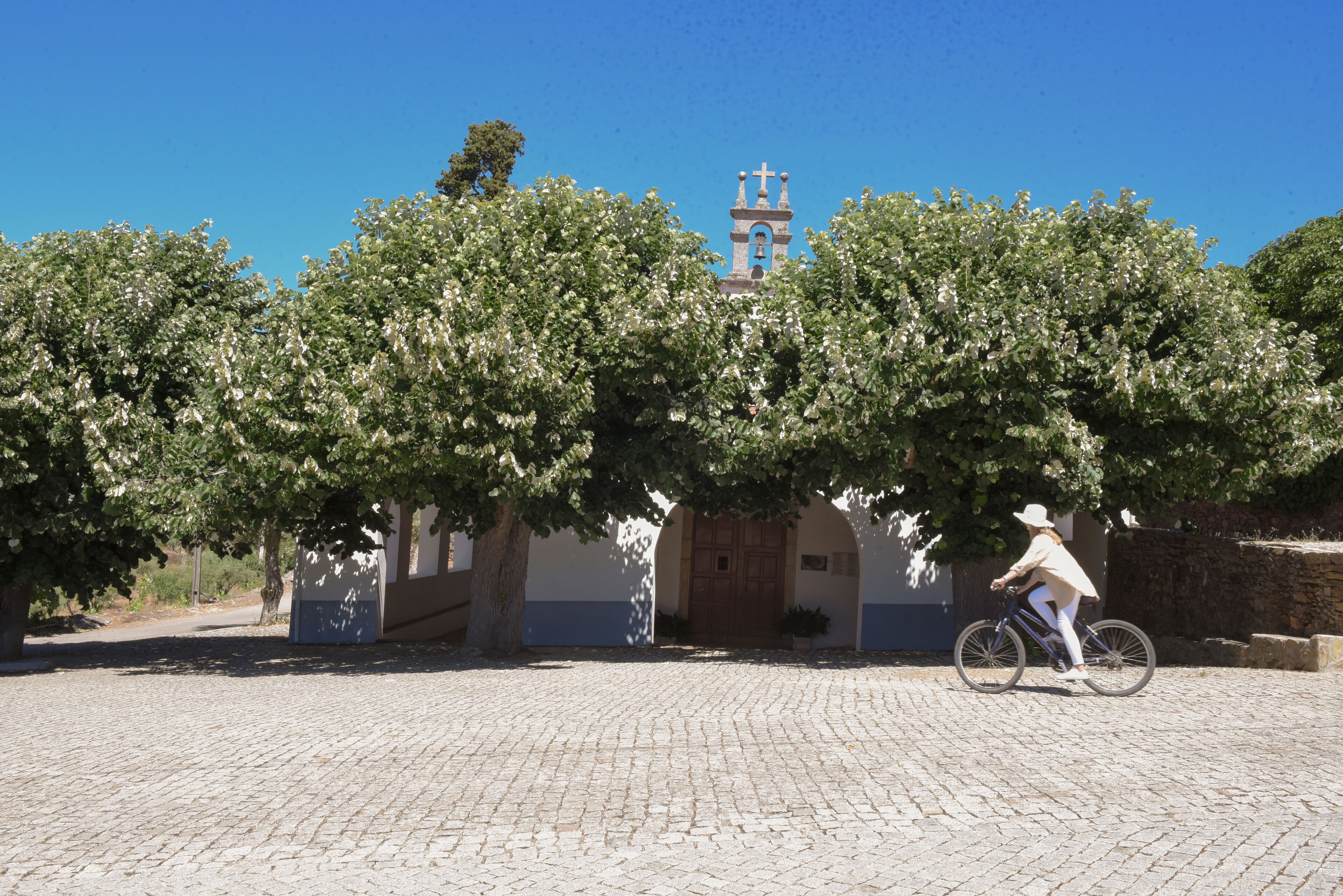 Un patio empedrado con una persona montando en bicicleta, árboles y un edificio con un campanario al fondo.