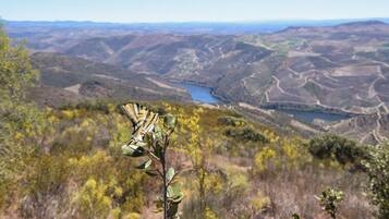 A landscape with a river, mountains, and a plant in the foreground.