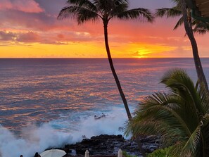 Plage à proximité, chaises longues, serviettes de plage