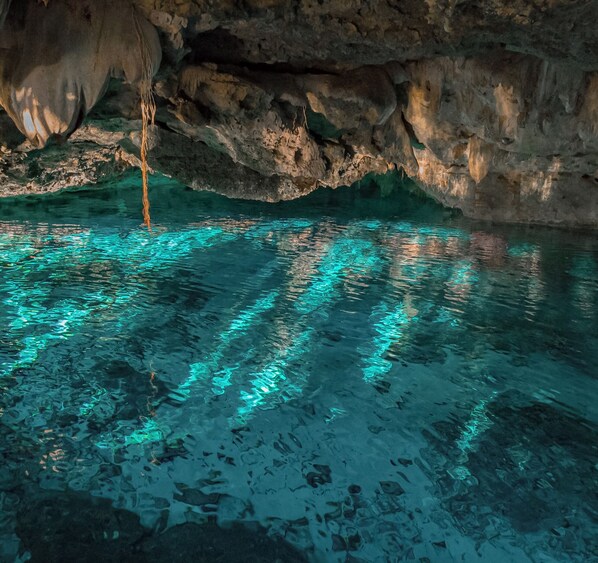 Piscine naturelle