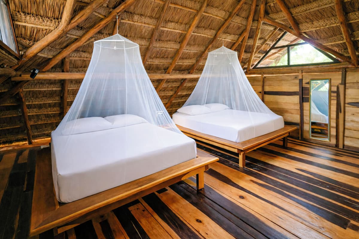 Deux lits équipés de moustiquaires dans une pièce en bois, dont le toit est fait de chaume.