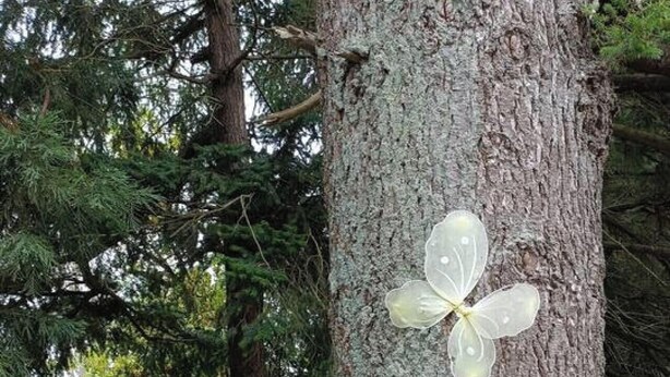 A tree with a sign reading 'ENCHANTED FOREST' and a butterfly decoration. - Opuke Studio Methven (Methven)