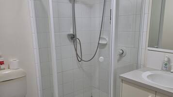 A bathroom with a glass-enclosed shower, a toilet, and a sink with a mirror above.