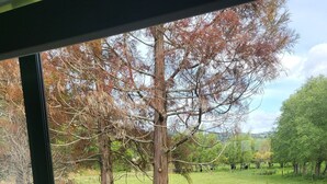 A view from inside a room through a window, looking out at a grassy field with trees and a fence.